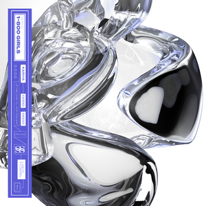 Let Me Love You For Tonight (1-800 Girls Remix)