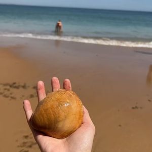 Summer for You