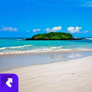 想跟你在一起 (现场)