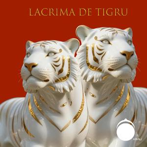 Lacrima De Tigru