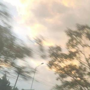 你还怕大雨吗