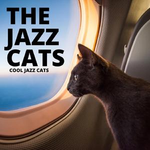Jazzington Cat
