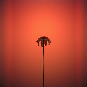 ลืมไม่ลง