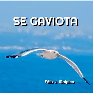 Se Gaviota