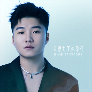 白小白-只想为了你停留 (DJAh版)