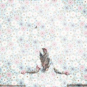 The Journey of a Thousand Steps