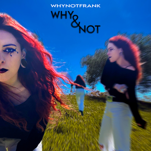 Why & Not