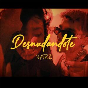 Desnudandote