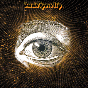 Lady Of The Dark Room