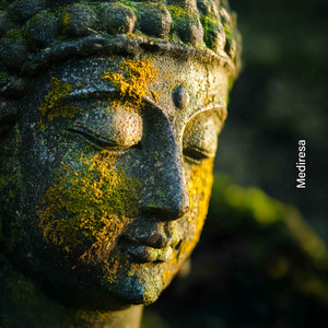 Surrender to the Eternal Now