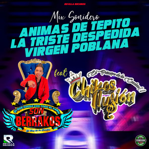 Mix Sonidero Animas de Tepito / La Triste Despedida / Virgen Poblana