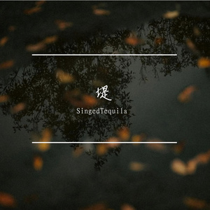 堤