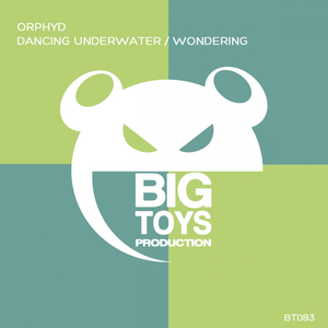 Wondering (Original Mix)