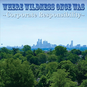 Drop Level (feat. Nicky Wood)