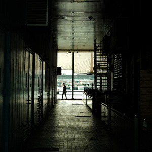 Magnetic Fields