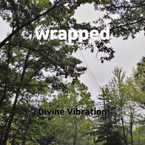 wrapped