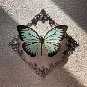 科罗娜（Prod.DIVINE MUSIC）