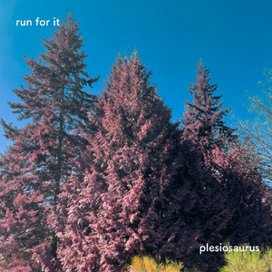 Run For It