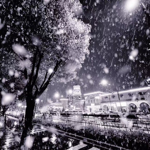 当雪飘下来的那刻你松开了我的手