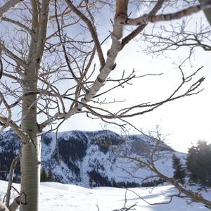 babysitter (prod.hysteric x deyflo x ace4our)