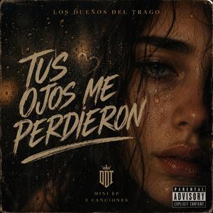 TUS OJOS ME PERDIERON