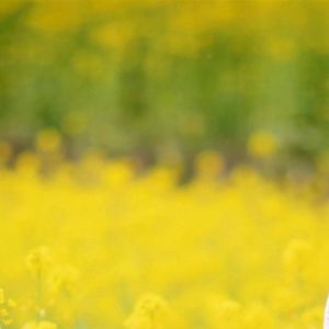 风吹走一切烦恼-整曲 伴奏