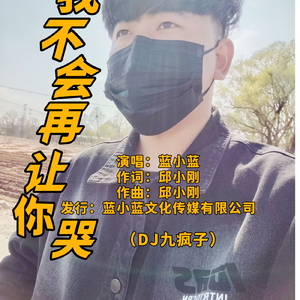 我不会再让你哭（DJ九疯子版）