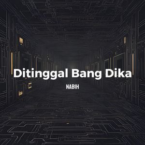 Ditinggal Bang Dika