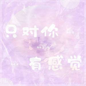 只对你有感觉（翻自 飞轮海）