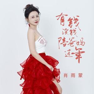 有钱没钱陪爸妈过年 (伴奏)