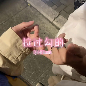 拉过勾的 (DJ小辞Remix)