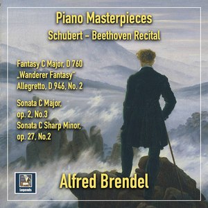 Fantasie in C Major, Op. 15, D. 760 "Wanderer":I. Allegro con fuoco ma non troppo