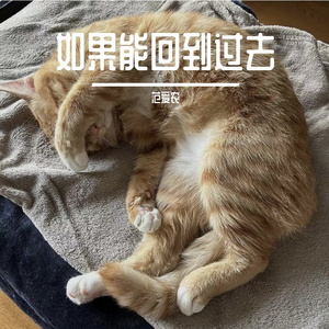 《如果能回到过去》范爱农