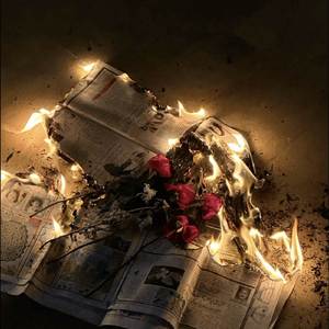 被伤过的心还可以爱谁