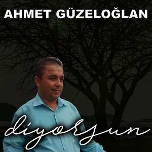 Diyorsun