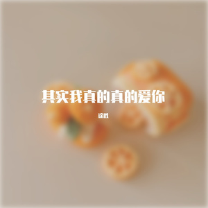 其实我真的真的爱你