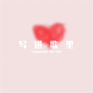 写进歌里