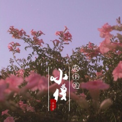 跟着我的小步伐向前走 (Remix)