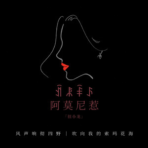 阿莫尼惹·议婚篇