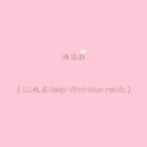 桃花诺（DJ达苏deep VinaHous remix）