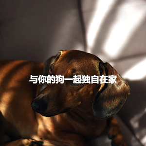Delightful Music for Smart Ballads