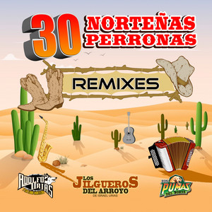 El Amor Que No Volvio/ El Recien Casado/ El Ultimo Viaje. (Remixes)