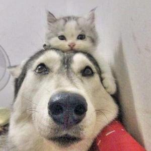 我的小眼神就一直瞪你（prod.BecKwan）