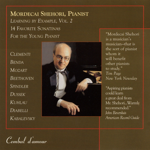 Sonatina in G Major, Op. 20, No. 1: Rondo-Allegretto