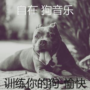 安静(训练你的狗)