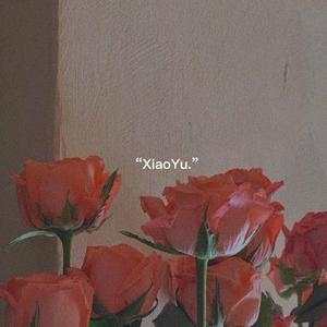 XiaoYu