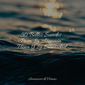 Ilusión Mística Flotante