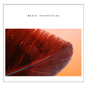 Colani Meinhof (Hiddann Remix)