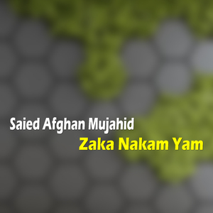 Zaka Nakam Yam