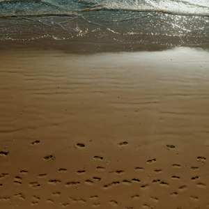 여행 (Prod. 서동민)